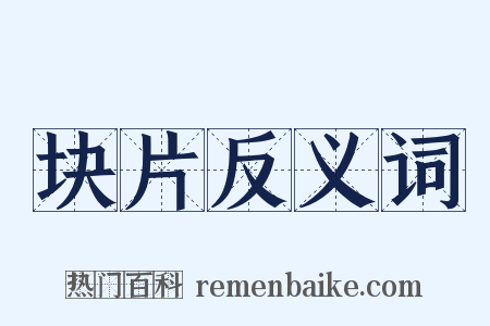 块片反义词是什么意思的图片